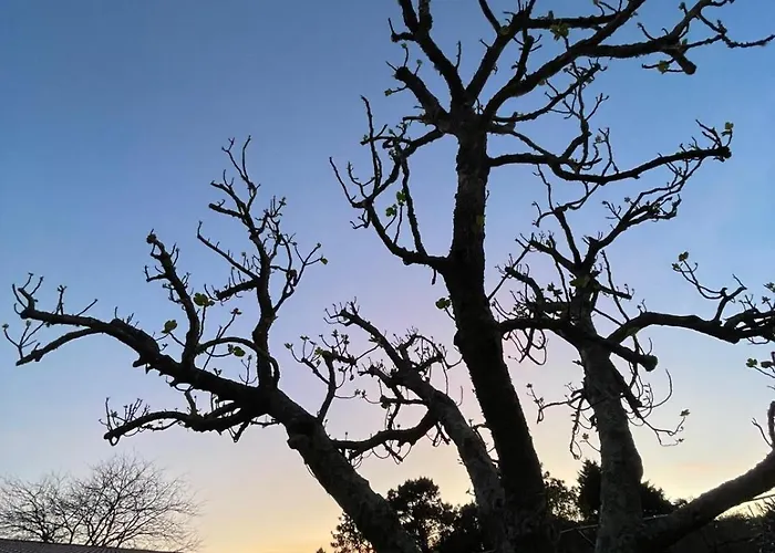 Tatil Evi Playa Rianxo