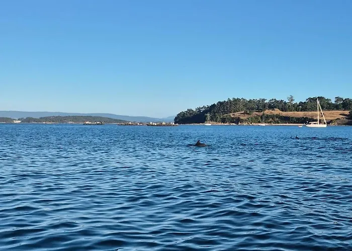 Playa Rianxo Tatil Evi *